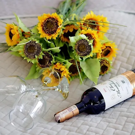 309 W Pięciogwiazdkowym Marine 20 M Rowery W Cenie Dobruk *