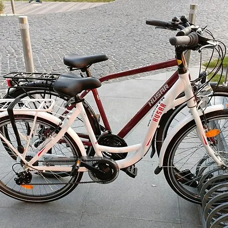 309 W Pięciogwiazdkowym Marine 20 M Rowery W Cenie Dobruk Kołobrzeg